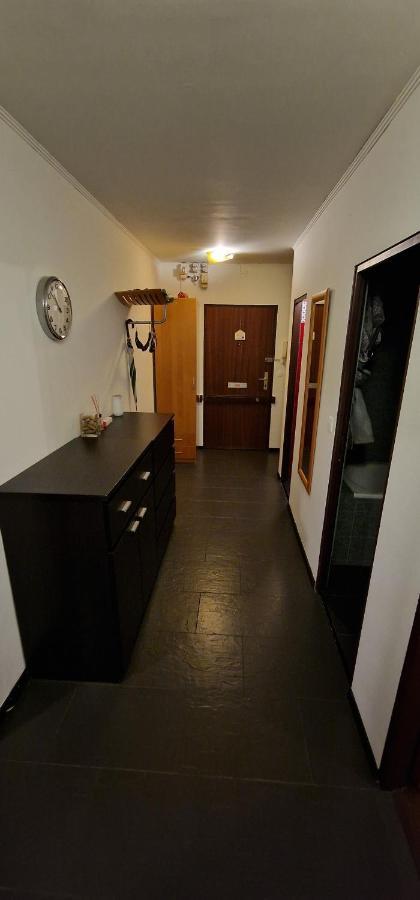 Vienna Schloss Schoenbrunn 6 Appartment מראה חיצוני תמונה
